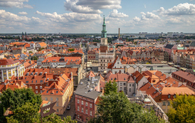 Przykładowa galeria UM Toruń 2